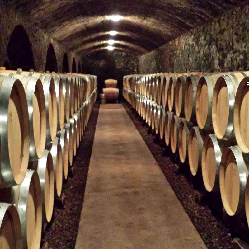 Gereifte Weine, perfekt gelagert.