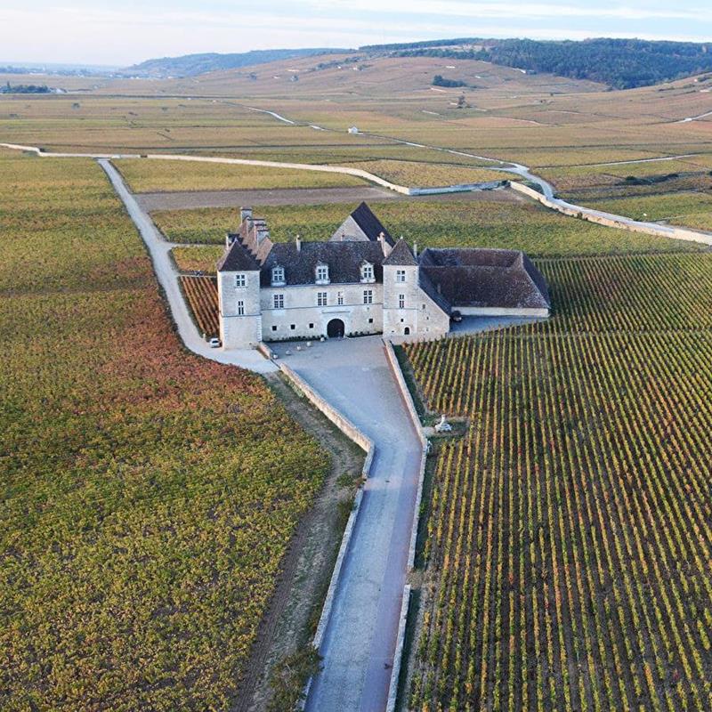 Bourgogne - Vins