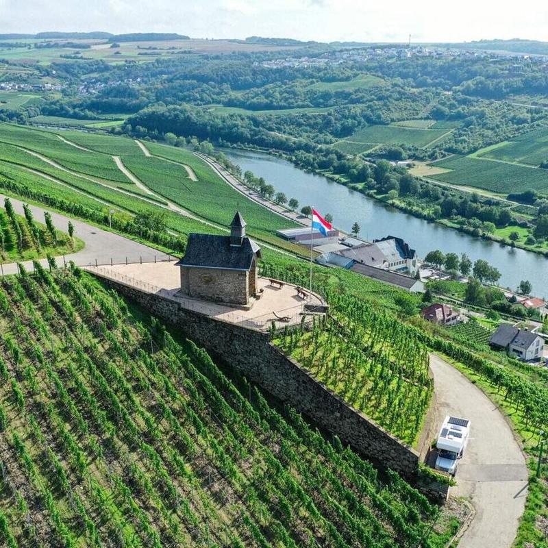 Vins de la Moselle luxembourgeoise