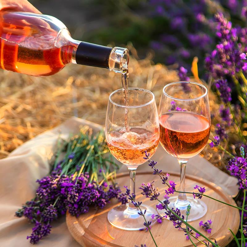 Vins de Provence - Vins